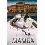 Мамба — изображение 9