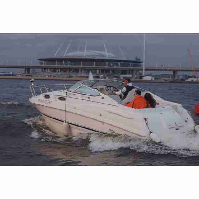 Chapparal 270 Signature Адмирал — изображение 18